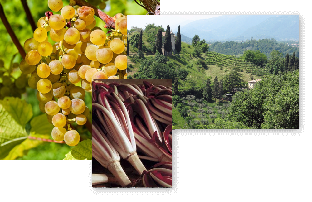 Cultura Paesaggio Agroalimentare
